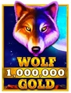 ทำความรู้จักบัญชี ทดลอง สล็อต xo เพื่อการเริ่มต้นง่ายๆ