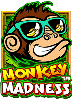 y9 สล็อต: วิธีเล่นและเอาชนะอย่างเซียน